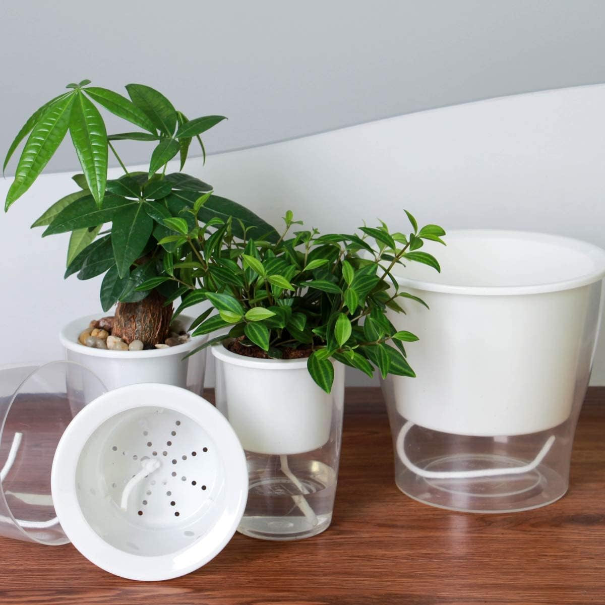 3-Pack 7" Clear Self-Watering Planters – Wicking Pots for Indoor Plants, Herbs & African Violets (Clear/White)