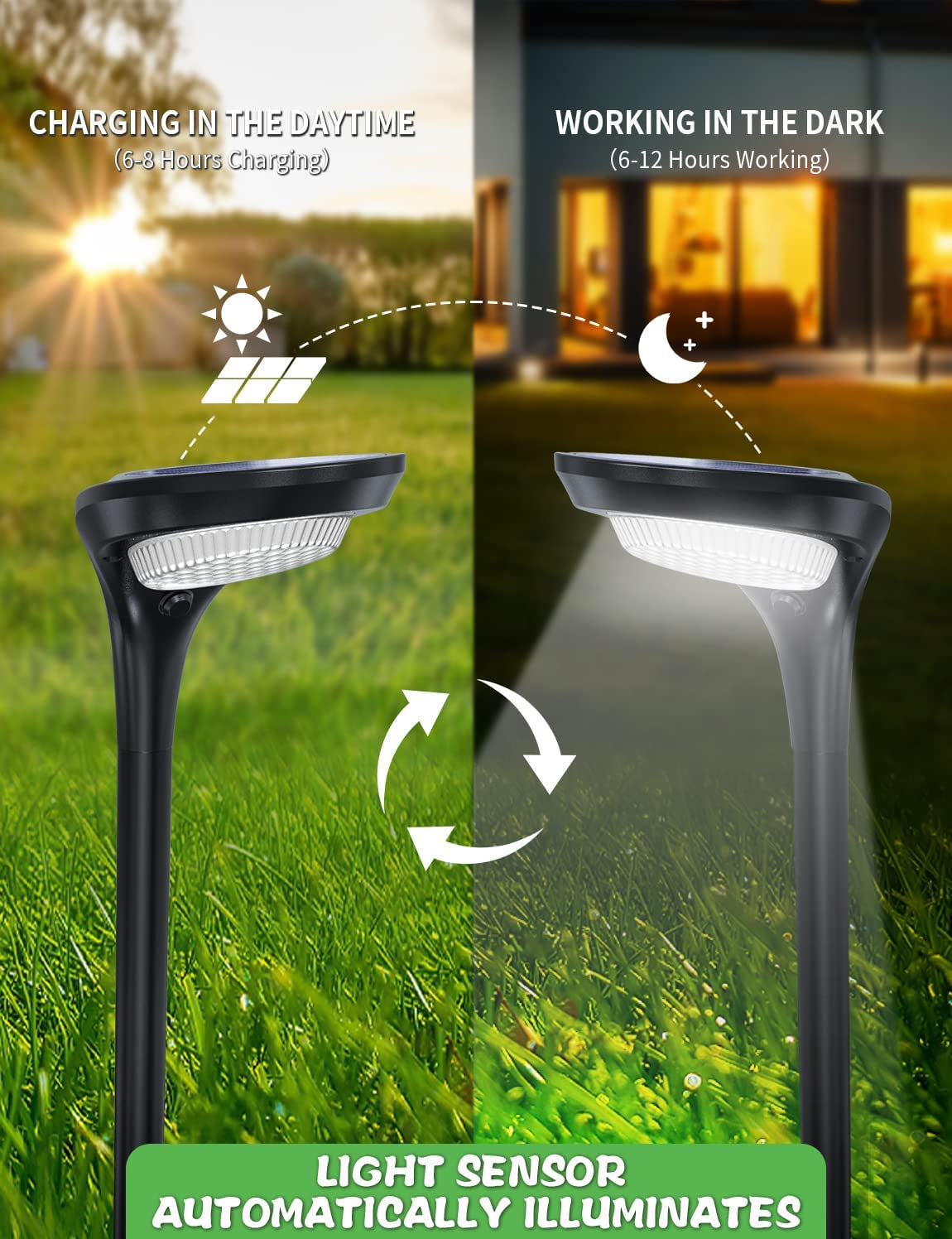 Solar Pathway Lights (4-Pack) – 150 Lumen, Waterproof, 2-Color Modes, Auto On/Off for Garden & Walkways