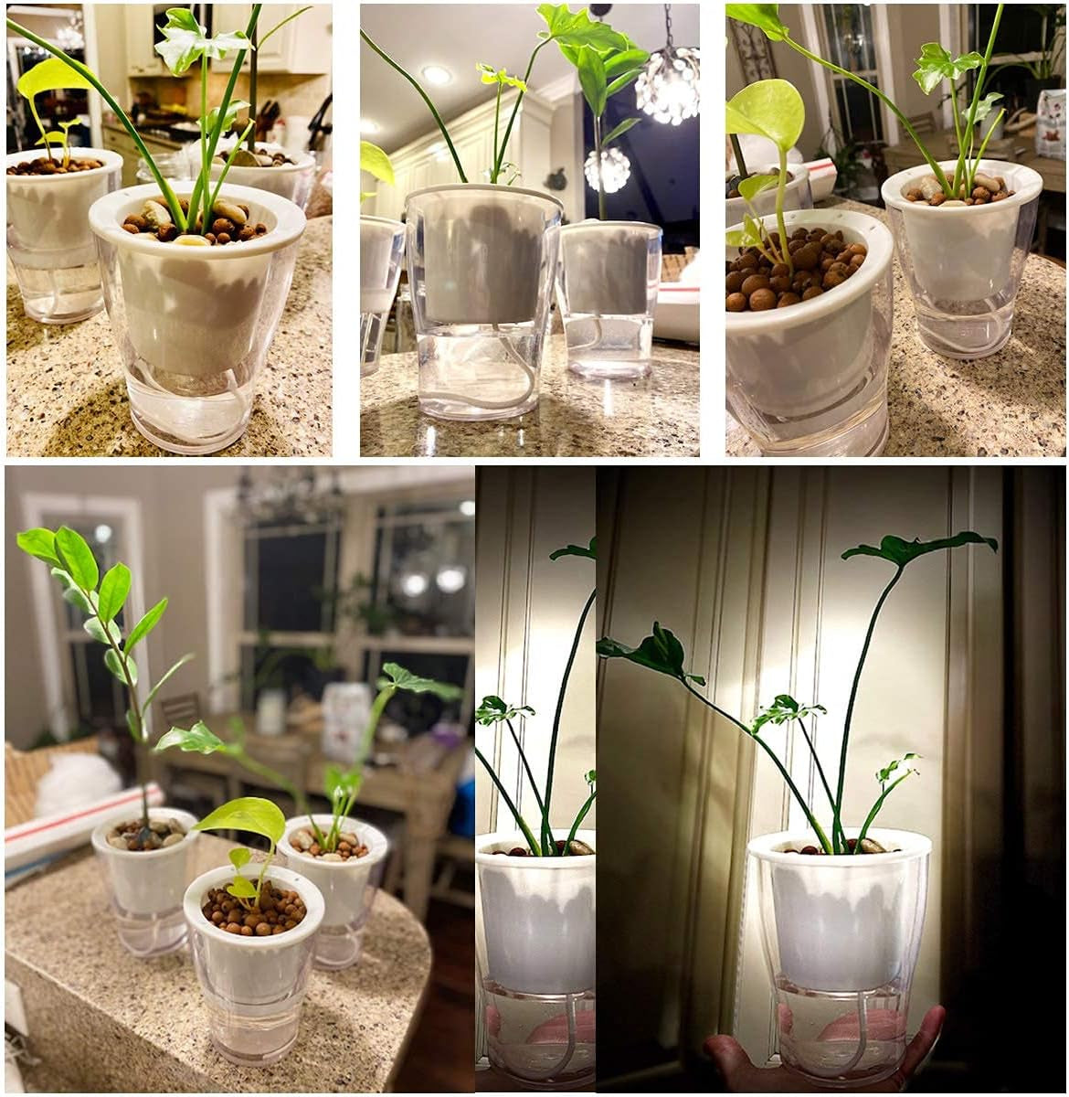 3-Pack 7" Clear Self-Watering Planters – Wicking Pots for Indoor Plants, Herbs & African Violets (Clear/White)