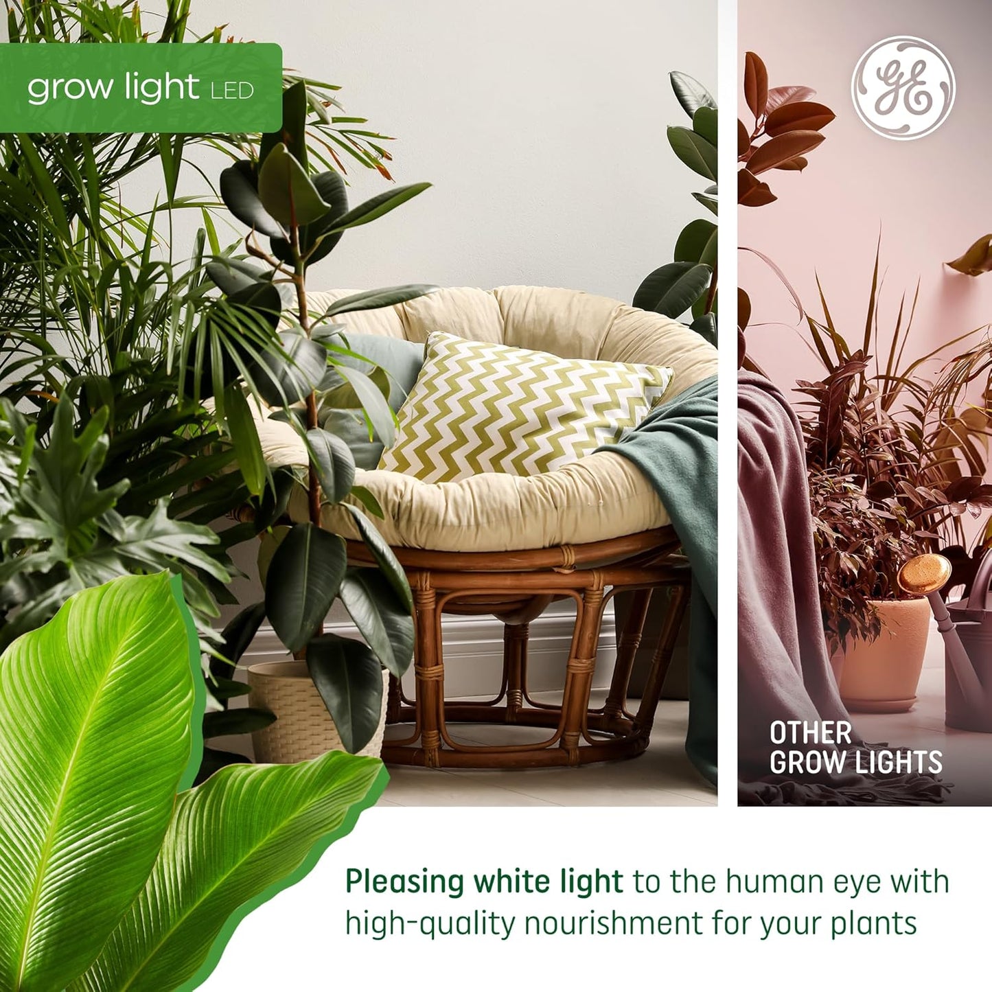 PAR38 LED Grow Light Bulb – Balanced Spectrum for Indoor Plants, 50 PPF, 25,000-Hour Lifespan (1-Pack)