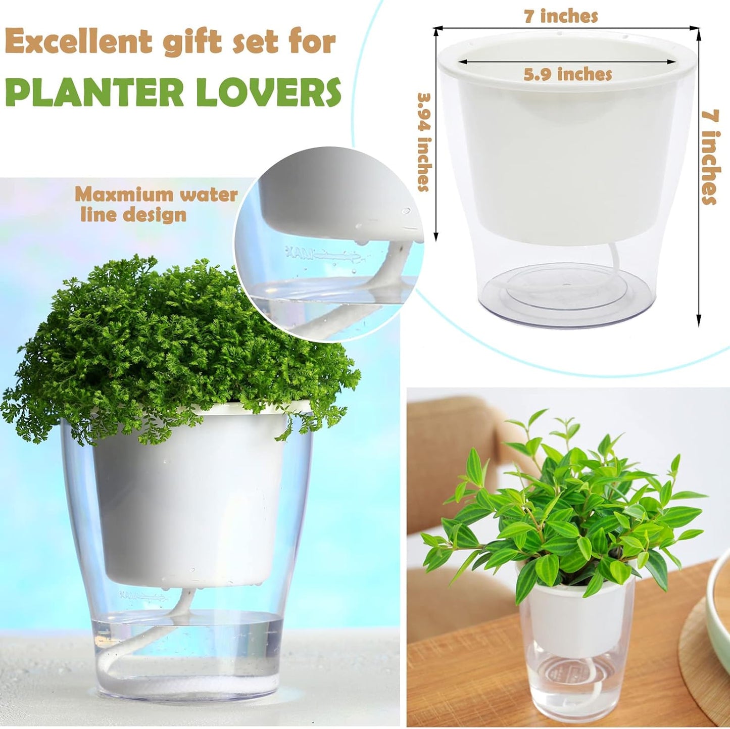 3-Pack 7" Clear Self-Watering Planters – Wicking Pots for Indoor Plants, Herbs & African Violets (Clear/White)