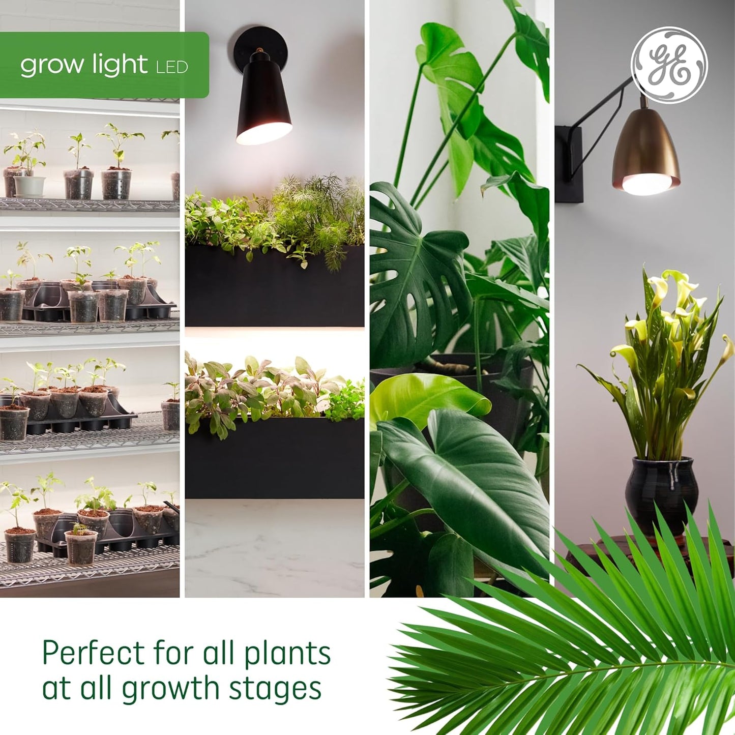 PAR38 LED Grow Light Bulb – Balanced Spectrum for Indoor Plants, 50 PPF, 25,000-Hour Lifespan (1-Pack)