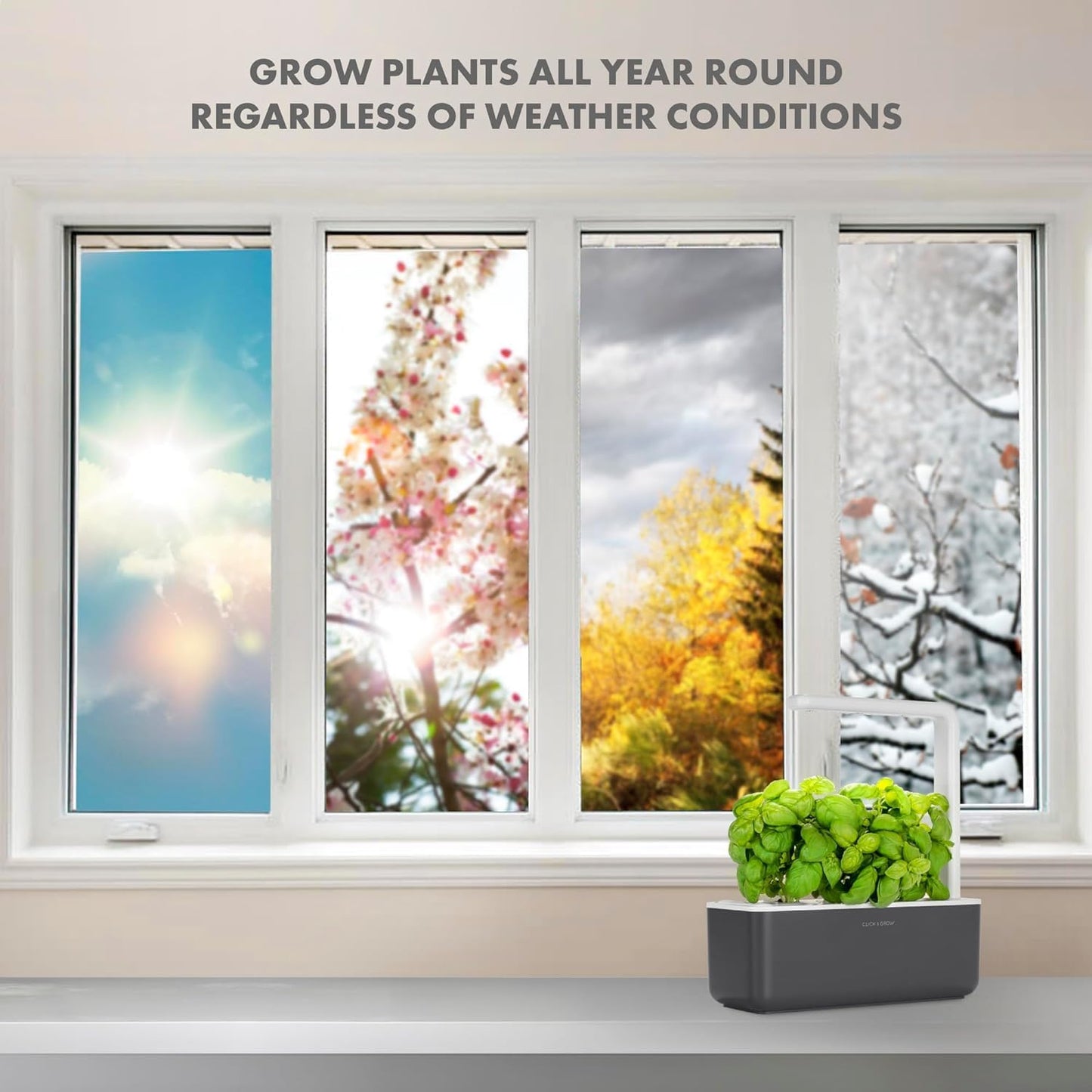 Indoor Herb Garden Kit with Grow Light – Smart Kitchen Planter with 3 Basil Pods (Grey)