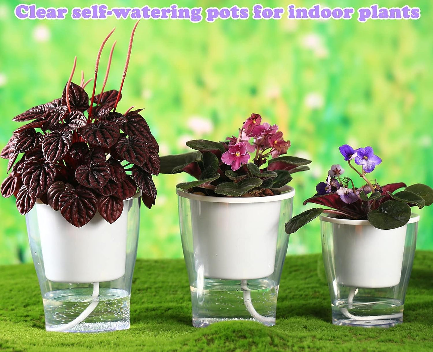 3-Pack 7" Clear Self-Watering Planters – Wicking Pots for Indoor Plants, Herbs & African Violets (Clear/White)