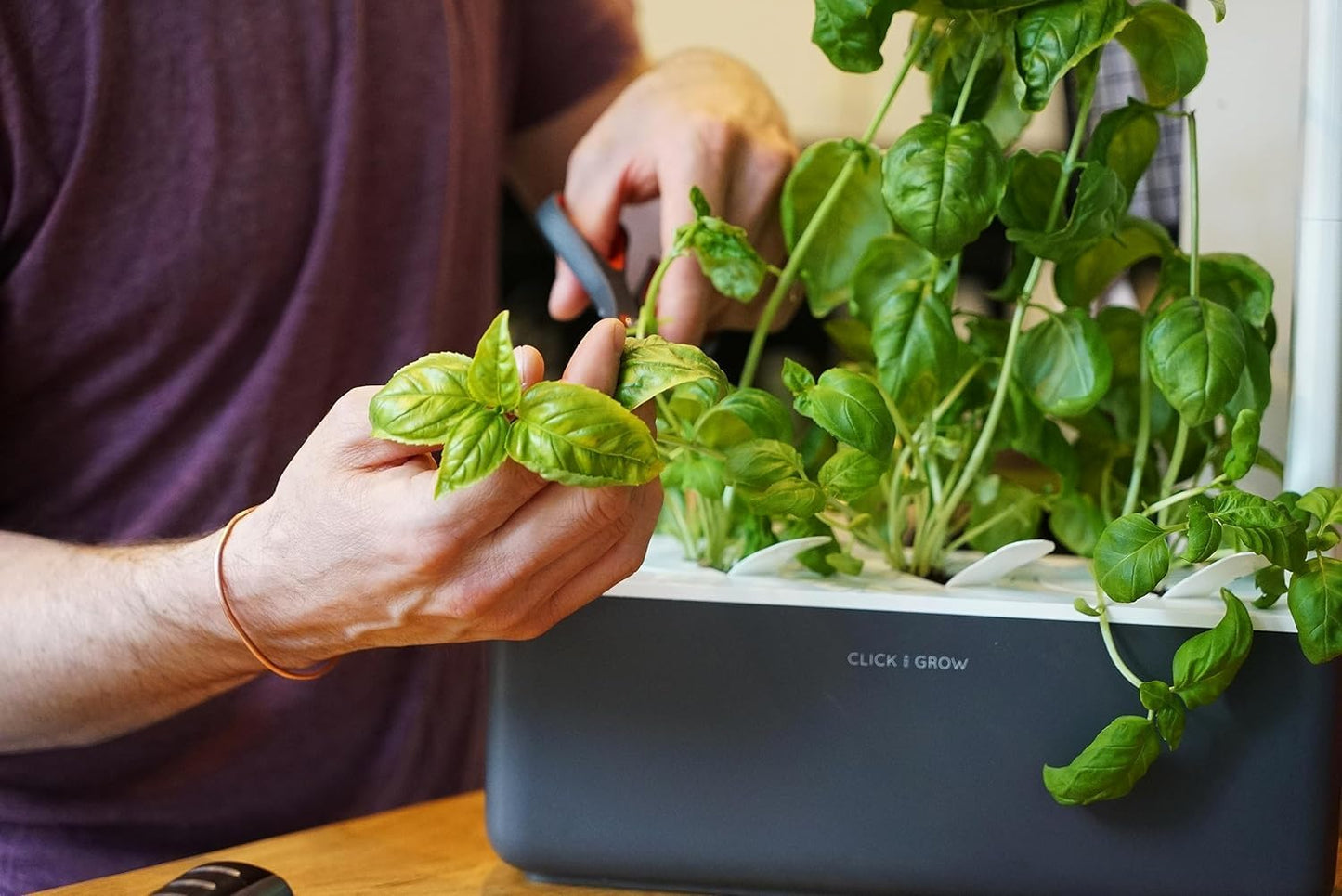 Indoor Herb Garden Kit with Grow Light – Smart Kitchen Planter with 3 Basil Pods (Grey)