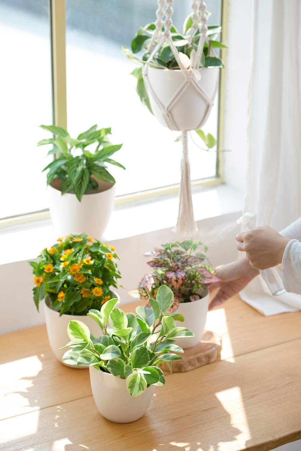 3-Pack Macrame Plant Hangers with Pots – No-Tassel Ivory Set, 3 Sizes (23"/29"/35") with Saucers & Hooks, Indoor Hanging Planters